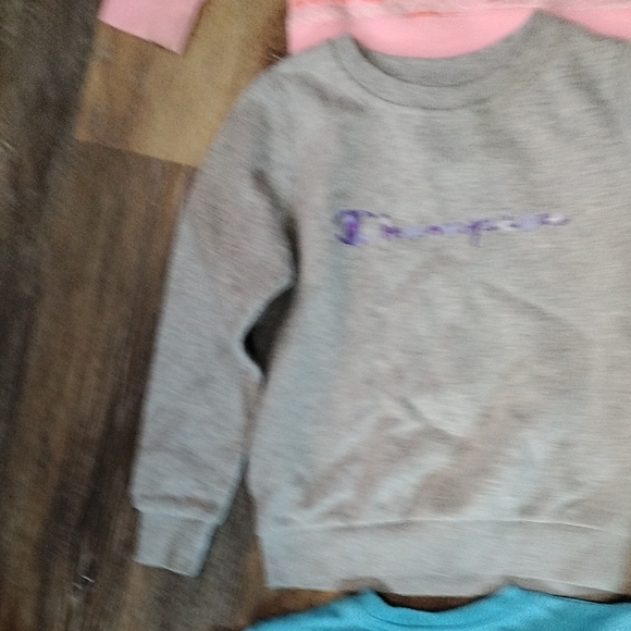 Champion Pink and Gray Sweatshirts Text - Picture 9 of 10